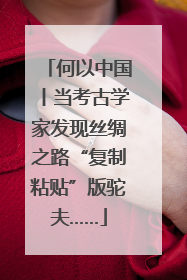 何以中国丨当考古学家发现丝绸之路“复制粘贴”版驼夫……