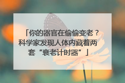 你的器官在偷偷变老？科学家发现人体内藏着两套“衰老计时器”