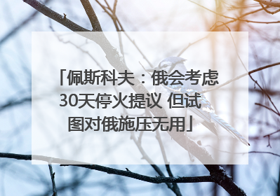佩斯科夫：俄会考虑30天停火提议 但试图对俄施压无用