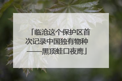 临沧这个保护区首次记录中国独有物种——黑顶蛙口夜鹰
