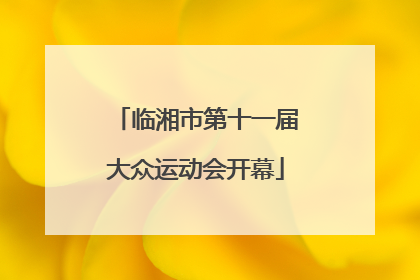 临湘市第十一届大众运动会开幕