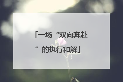 一场“双向奔赴”的执行和解