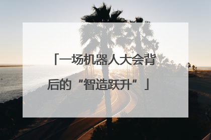 一场机器人大会背后的“智造跃升”