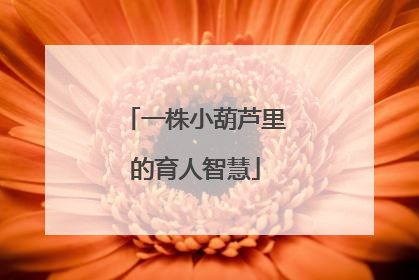 一株小葫芦里的育人智慧