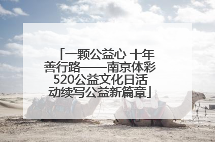 一颗公益心 十年善行路——南京体彩520公益文化日活动续写公益新篇章