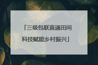 三级包联直通田间 科技赋能乡村振兴