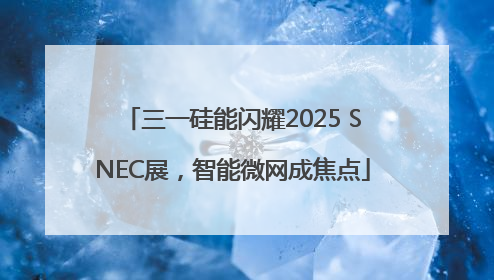 三一硅能闪耀2025 SNEC展，智能微网成焦点