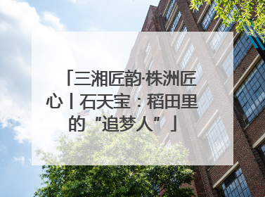 三湘匠韵·株洲匠心丨石天宝：稻田里的“追梦人”