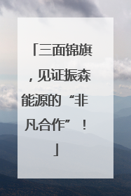 三面锦旗，见证振森能源的“非凡合作”！