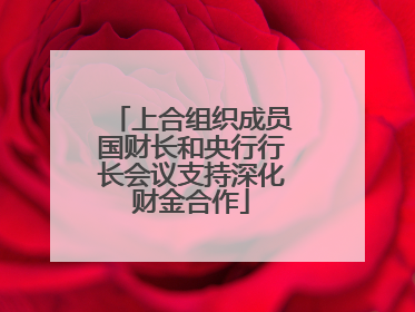 上合组织成员国财长和央行行长会议支持深化财金合作