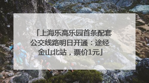 上海乐高乐园首条配套公交线路明日开通：途经金山北站，票价1元