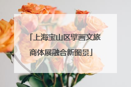 上海宝山区擘画文旅商体展融合新图景