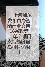 上海浦东发布具身智能产业支持16条政策：单个项目支持额度最高可达亿级