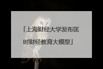 上海财经大学发布匡时财经教育大模型
