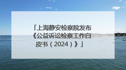 上海静安检察院发布《公益诉讼检察工作白皮书（2024）》