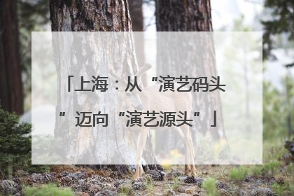 上海：从“演艺码头”迈向“演艺源头”