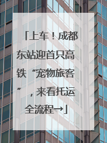上车！成都东站迎首只高铁“宠物旅客”，来看托运全流程→