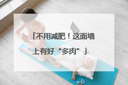 不用减肥！这面墙上有好“多肉”