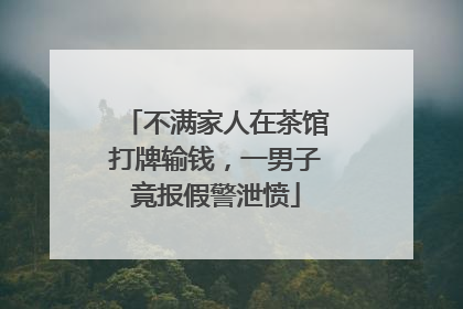 不满家人在茶馆打牌输钱，一男子竟报假警泄愤