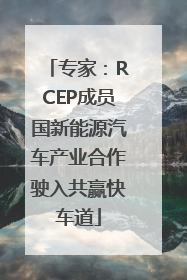 专家：RCEP成员国新能源汽车产业合作驶入共赢快车道