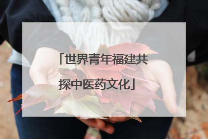 世界青年福建共探中医药文化