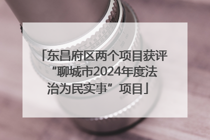 东昌府区两个项目获评“聊城市2024年度法治为民实事”项目