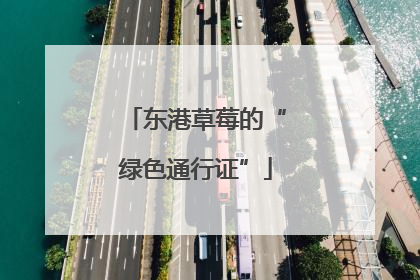 东港草莓的“绿色通行证”