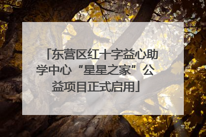 东营区红十字益心助学中心“星星之家”公益项目正式启用