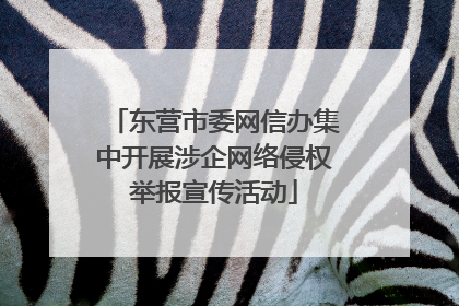 东营市委网信办集中开展涉企网络侵权举报宣传活动