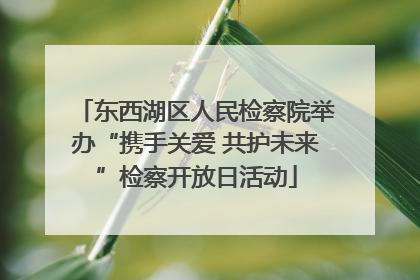 东西湖区人民检察院举办“携手关爱 共护未来”检察开放日活动