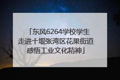 东风6264学校学生走进十堰张湾区花果街道感悟工业文化精神