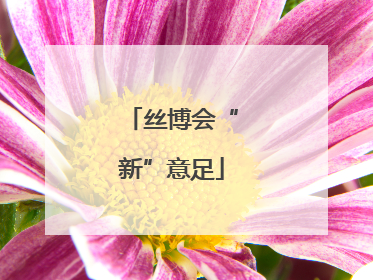 丝博会“新”意足