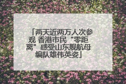 两天近两万人次参观 香港市民“零距离”感受山东舰航母编队雄伟英姿