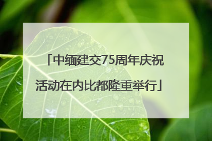 中缅建交75周年庆祝活动在内比都隆重举行