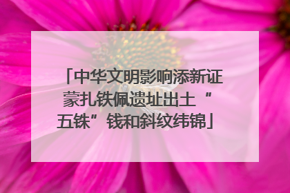 中华文明影响添新证 蒙扎铁佩遗址出土“五铢”钱和斜纹纬锦