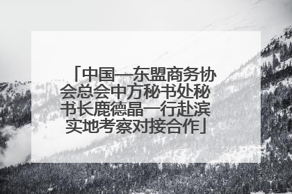 中国—东盟商务协会总会中方秘书处秘书长鹿德晶一行赴滨实地考察对接合作