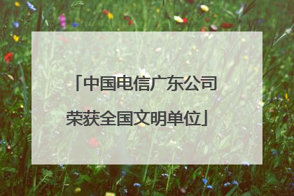 中国电信广东公司荣获全国文明单位