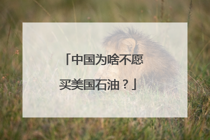 中国为啥不愿买美国石油？