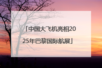中国大飞机亮相2025年巴黎国际航展