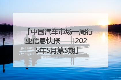 中国汽车市场一周行业信息快报——2025年5月第5期