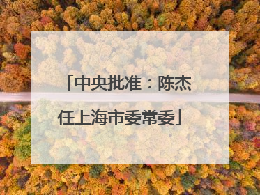 中央批准：陈杰任上海市委常委
