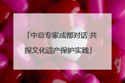 中意专家成都对话 共探文化遗产保护实践