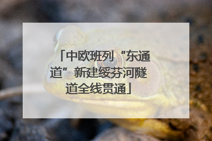 中欧班列“东通道”新建绥芬河隧道全线贯通