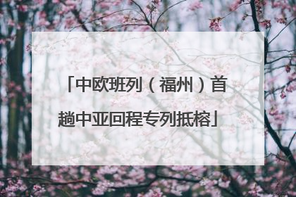中欧班列（福州）首趟中亚回程专列抵榕