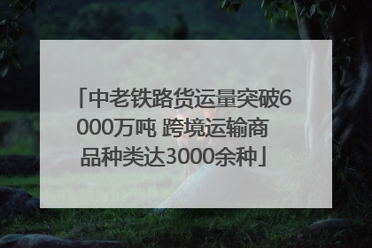 中老铁路货运量突破6000万吨 跨境运输商品种类达3000余种
