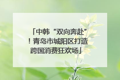 中韩“双向奔赴”！青岛市城阳区打造跨国消费狂欢场