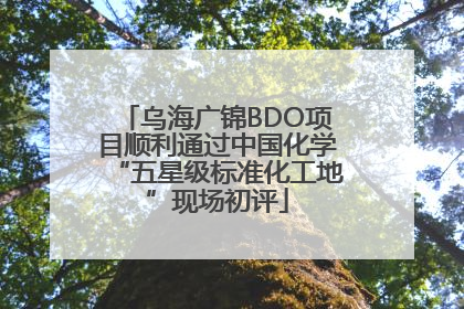 乌海广锦BDO项目顺利通过中国化学“五星级标准化工地”现场初评