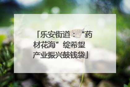 乐安街道：“药材花海”绽希望 产业振兴鼓钱袋