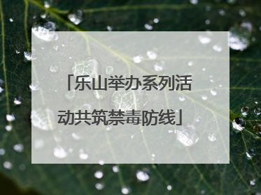 乐山举办系列活动共筑禁毒防线