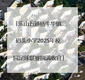 乐山五通桥牛华镇二码头小学2025年校园足球联赛圆满收官